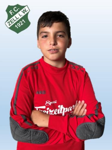 Raul Agostini