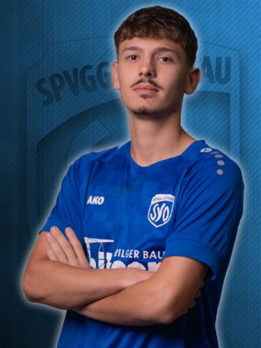 Niko Bodiroza