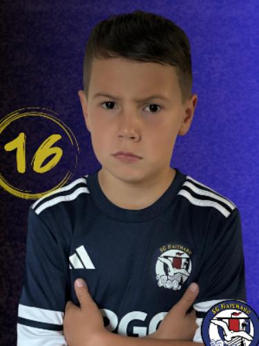 Matti Lenni Voiges