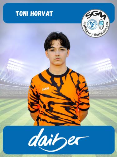 Toni Horvat