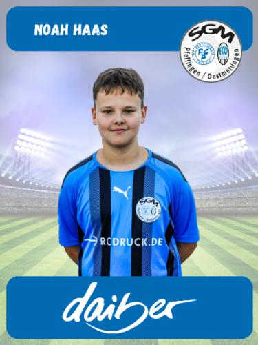 Noah Haas