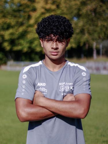 Mohammad Alwassmi