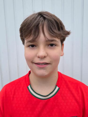 Leandro Pereira Moura