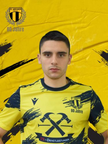 David Nikola Ninic
