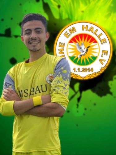 Aly Abdelsalam Ibrahim Abdelaaty