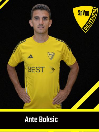 Ante Boksic