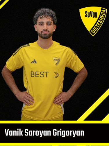 Vanik Saroyan Grigoryan