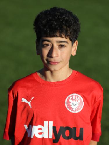 Amir Lian Goltalab