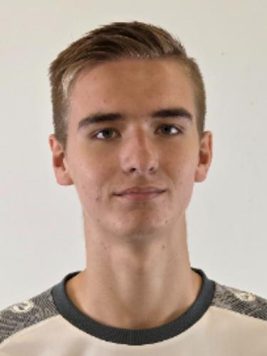 Nico Potjans
