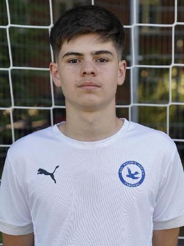 Ismail Dzankovic