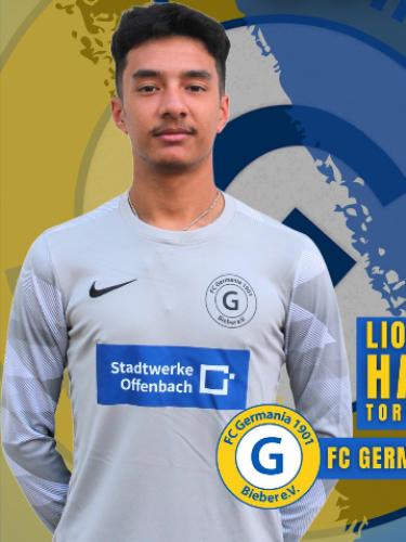 Lion Haller