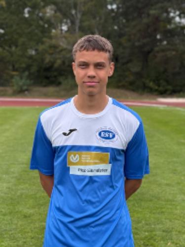 Theo Wartmann