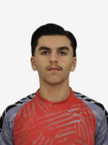 Hassan Al Rashed