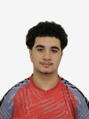 Alan Roshdi