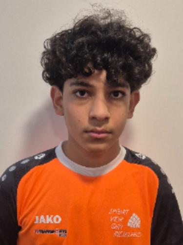 Ameen Almohammad