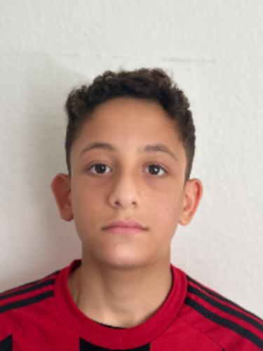 Ali Zein