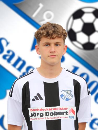 Nick Werner Hermann