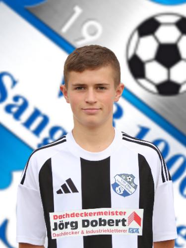 Max Heinrich Lüttich