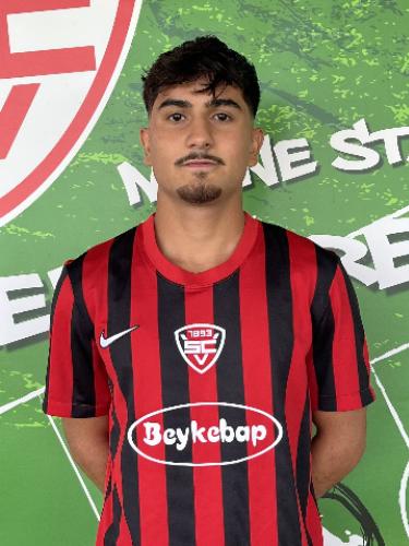 Hamit Han
