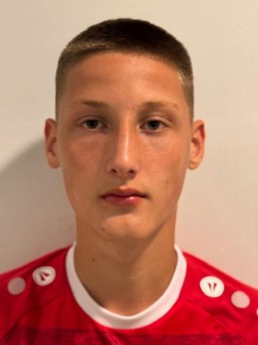 Mihai Giurgea