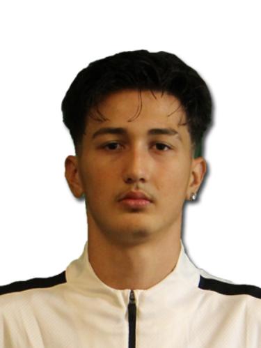 Stefanel-Iulian Lupu