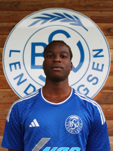 Bryan Osariemen Asemota