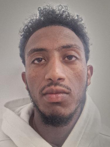 Mesfin Hayle