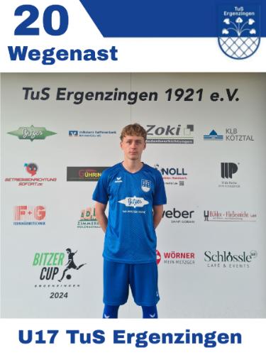 Nico Wegenast