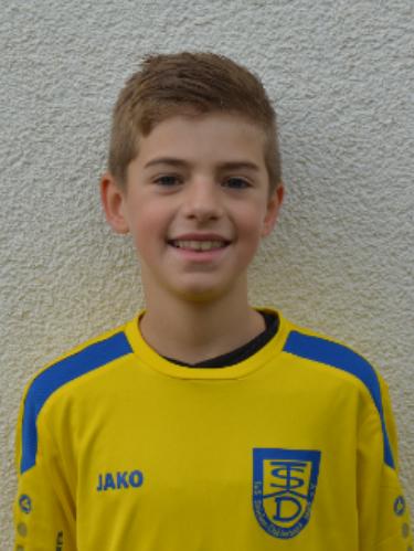 Apollon Cayne Niemeyer