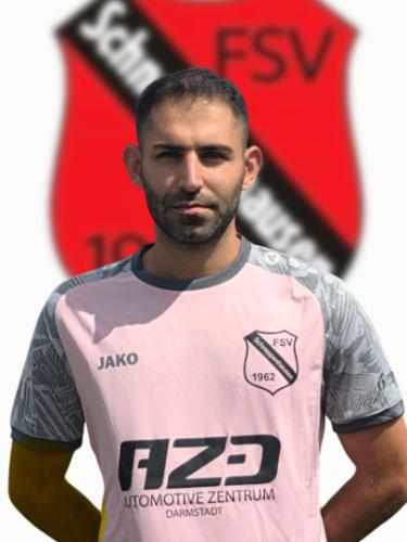 Emre Arslanparcasi