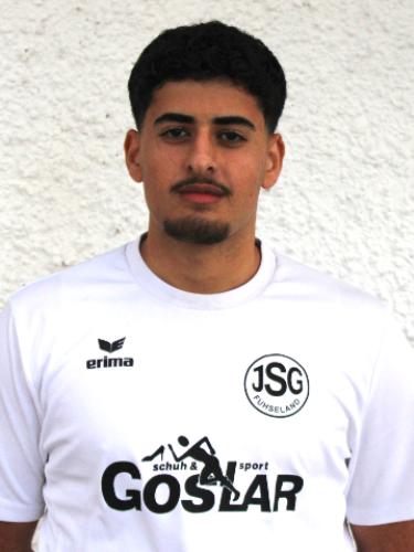 Raman Mahmoud Shamo