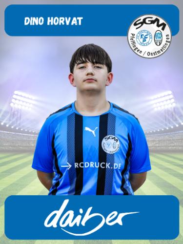 Dino Horvat