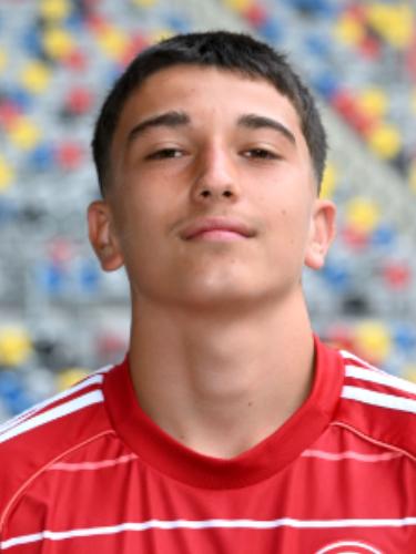 Enes-Mikail Dalmis