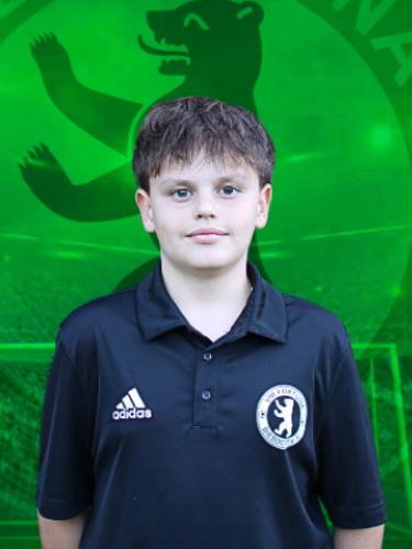 Henry Leonard Metzen