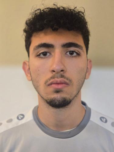 Ammar Ali Dib
