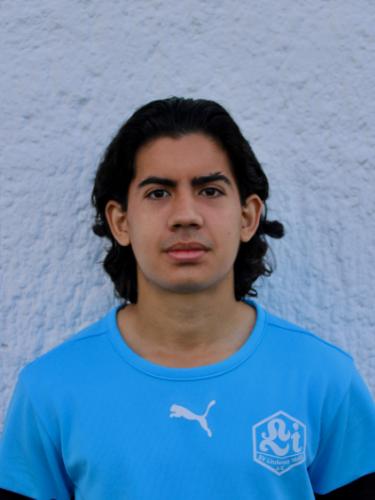 Luis Alejandro Bravo Avilés