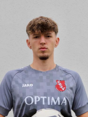 Dimitrije Djordjevic