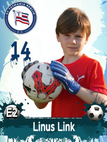 Linus Jonathan Link