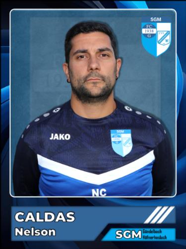Nelson Caldas