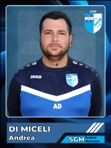 Andrea di Miceli
