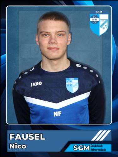 Nico Fausel