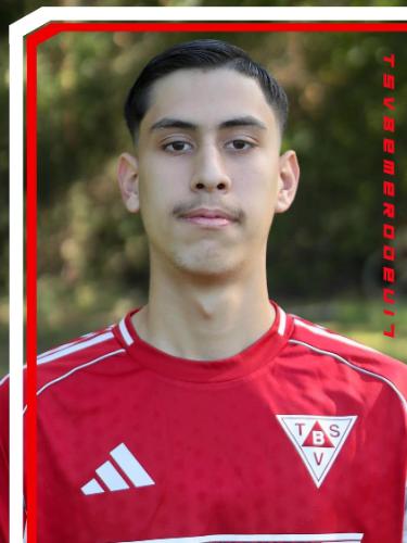 Süleyman Sina Güler