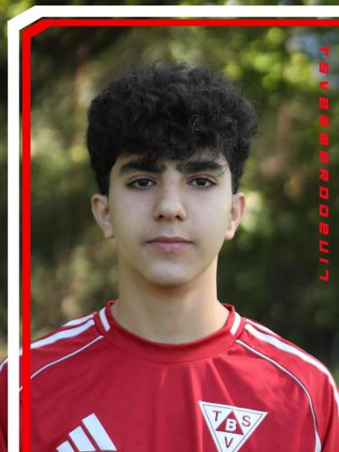 Soroosh Molanimoghadam