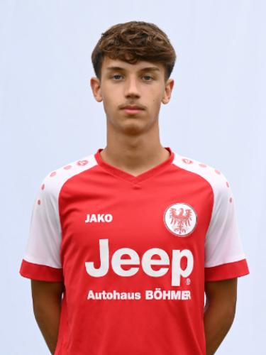 Friedrich Brandt