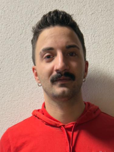 Tarik Amann