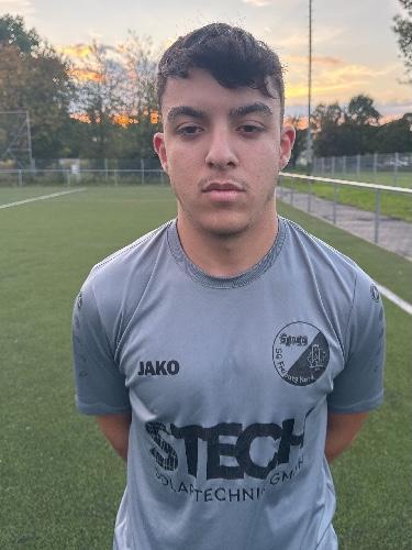 Arda Altan