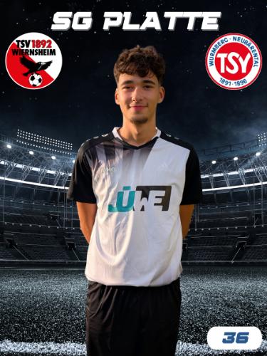 Lucas Gonçalves Gaudêncio