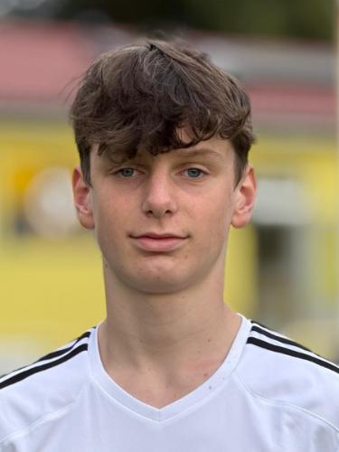Henrik Herrmann