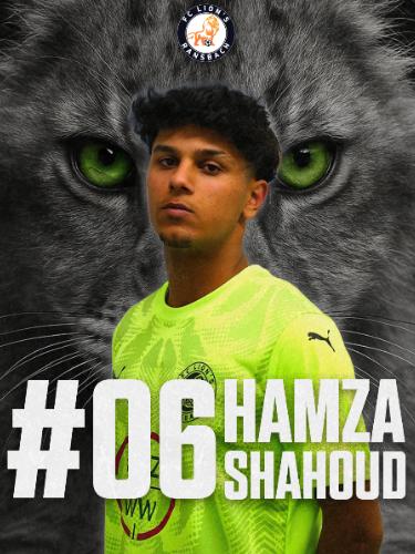 Hamza Alhaj Shahoud