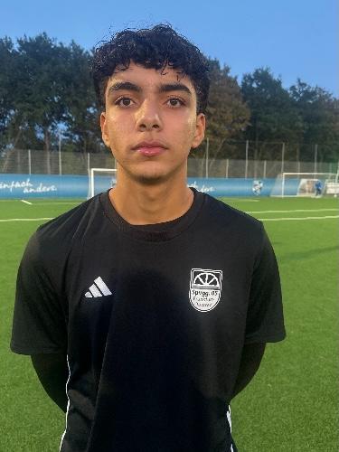 Mohammed-Amin Allami